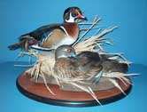 Wood Duck Pair